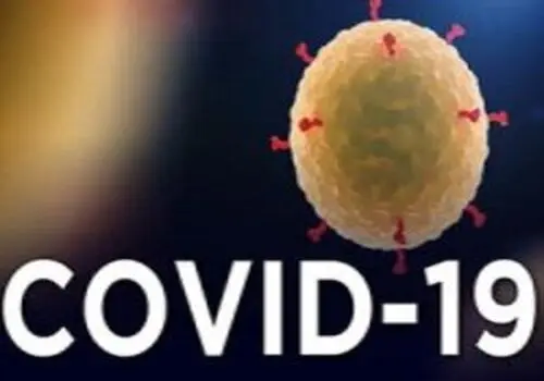 اتو بخاری که به قیمت خودرو فروخته میشود+فیلم