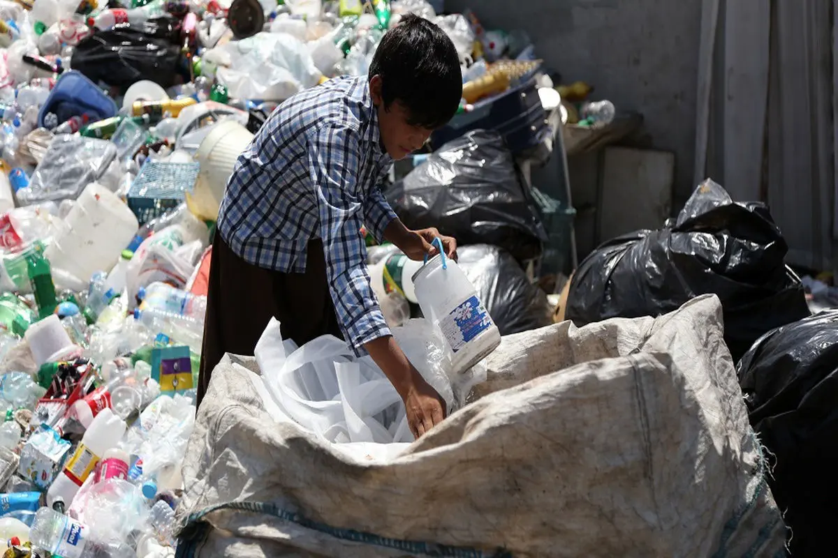 خیال همه راحت! تجارت سیاه زباله ادامه دارد / جولان بدون مزاحمت «زباله گردها» در سطح شهر