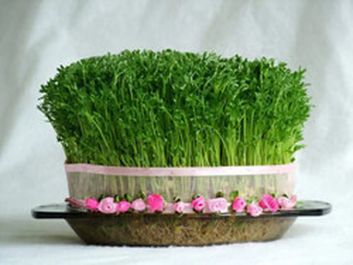 ارزش غذایی سبزه‌ی هفت‌سین