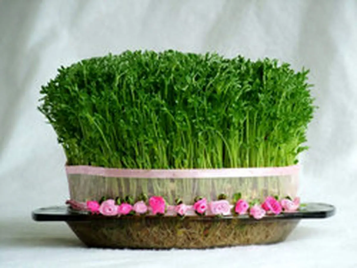 ارزش غذایی سبزه‌ی هفت‌سین