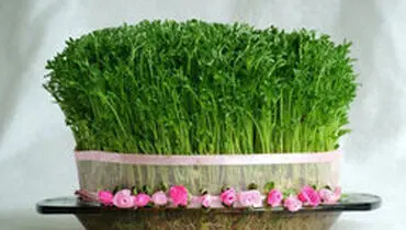 ارزش غذایی سبزه‌ی هفت‌سین