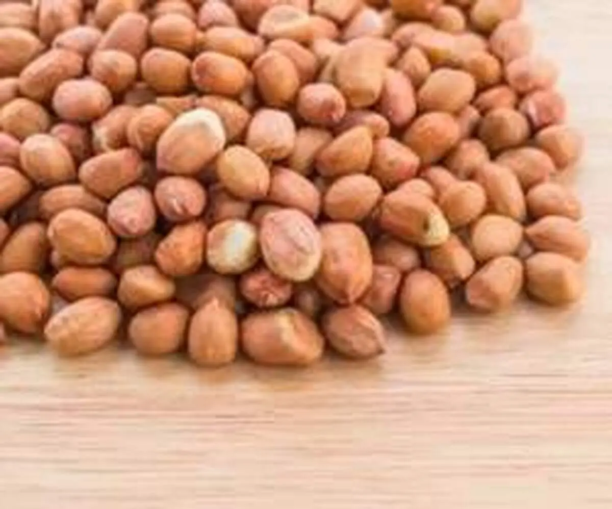 سم آفلاتوکسین چیه که میگن تو آجیل هم وجود داره؟