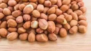 سم آفلاتوکسین چیه که میگن تو آجیل هم وجود داره؟