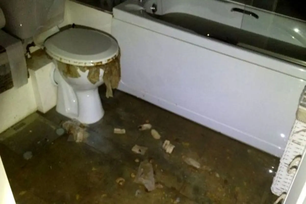عواقب کرونا در بریتانیا؛ قحطی دستمال توالت تا گرفتگی فاضلابها+عکس