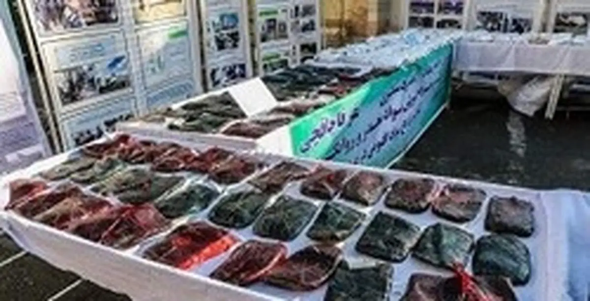 خوردن قرص عجیبی که باعث سرقت می‌شود