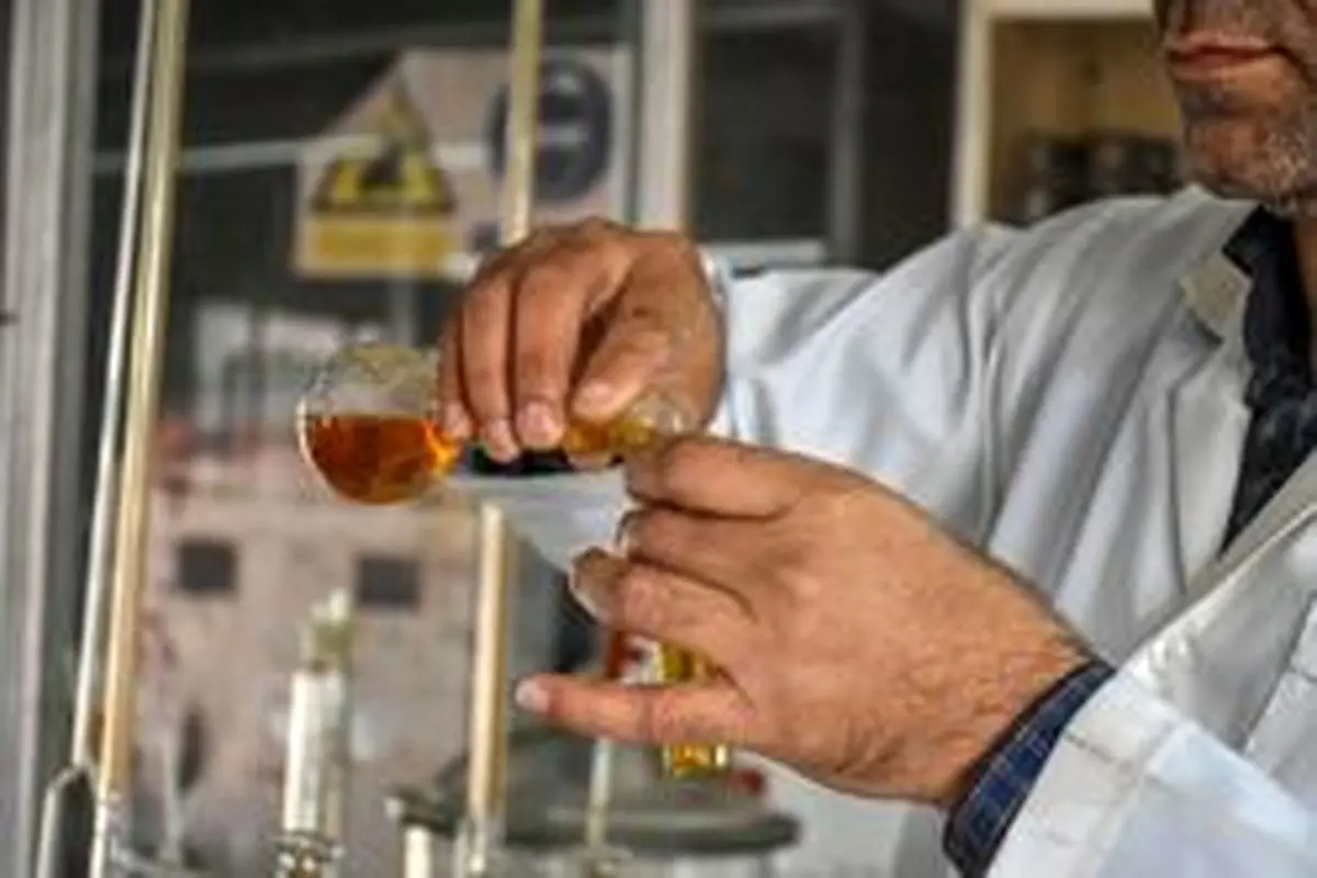 مرگ و میر ناشی از الکل در استان فارس، ۶ برابر کروناست