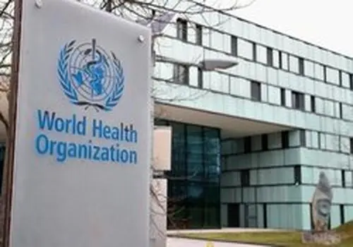 یک هشدار مهم بهداشت جهانی درباره هانتا ویروس