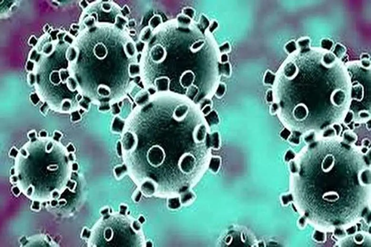 ویدیو|حمله کرونا ویروس به ریه را ببینید