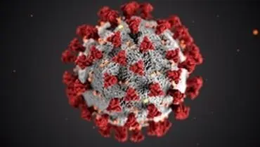 سازمان بهداشت جهانی: ویروس کرونا از راه هوا منتقل نمی‌شود
