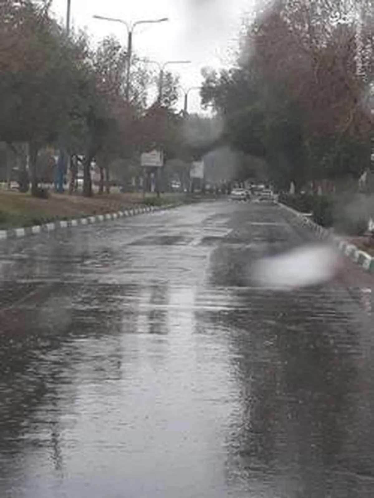 هواشناسی ایران ۹۹/۱/۱۲پیش بینی بارش باران، برف و تگرگ در ۲۶ استان تا یکشنبه