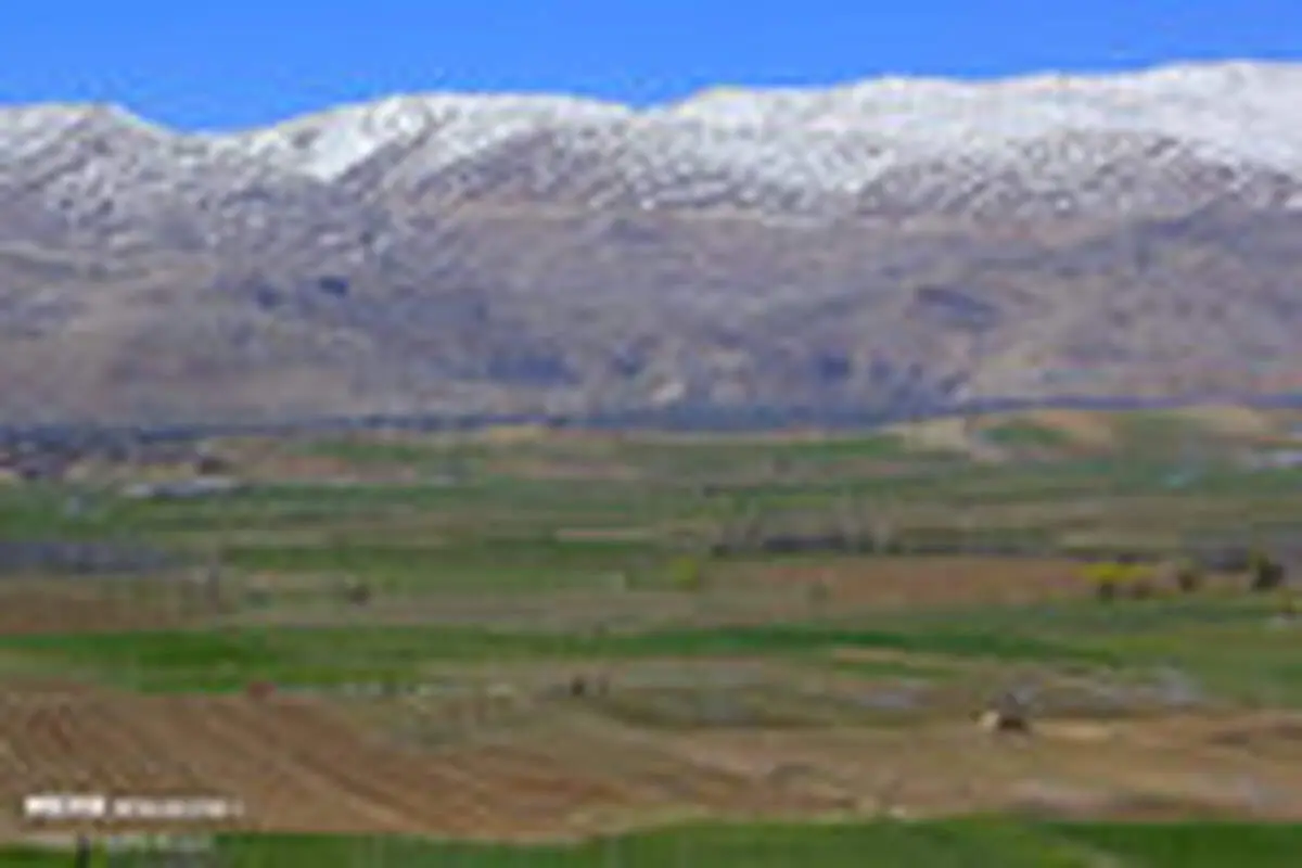 کشت بهاره پیاز