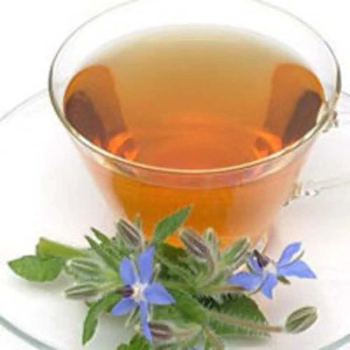 چه کسانی نمی‌توانند از دمنوش گل گاو زبان استفاده کنند؟