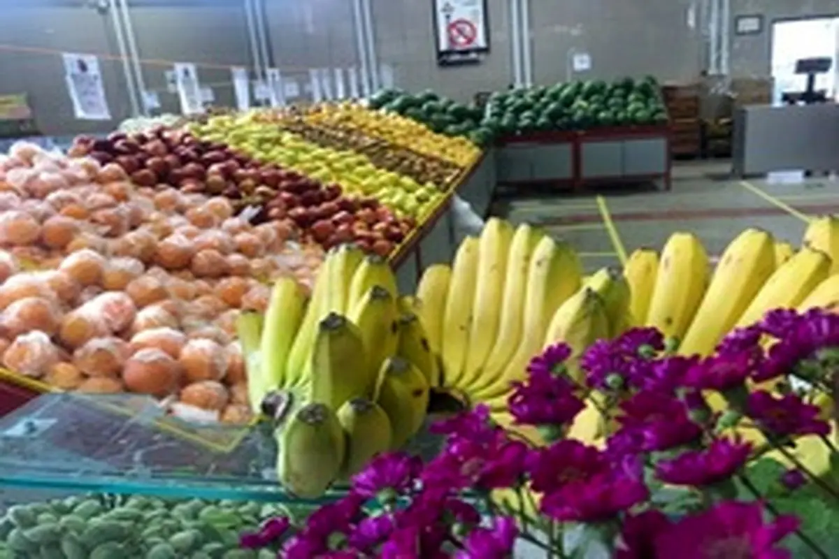 خرید 19 کیلو انواع محصولات در میادین میوه و تره بار با 100 هزار تومان