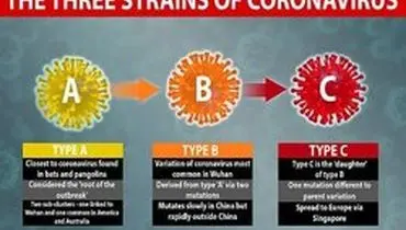 شناسایی ۳ گونه مختلف کرونا توسط محققان دانشگاه کمبریج