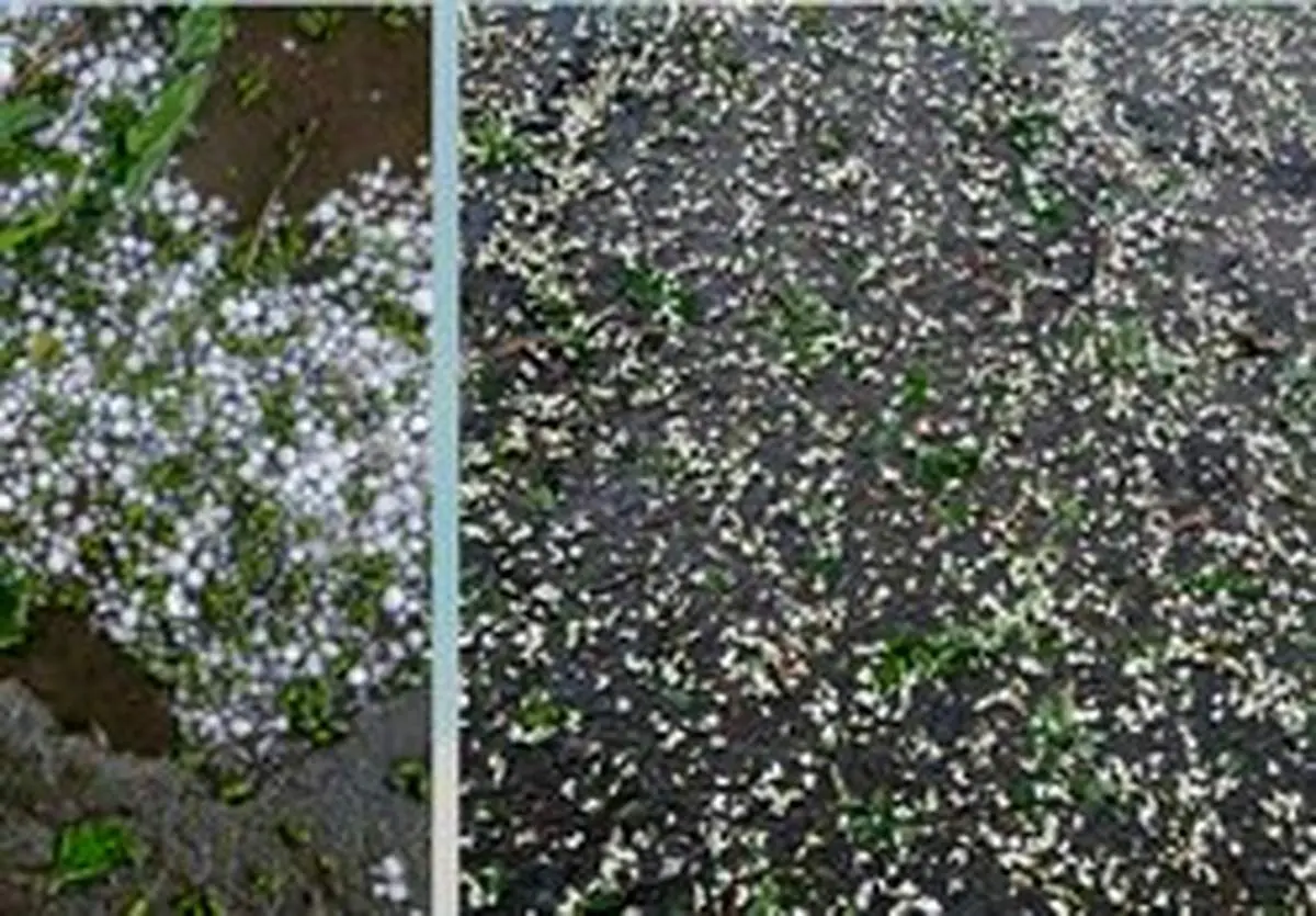 پبش بینی باران و تگرگ در تهران طی ۲۴ ساعت آینده/ دما ۶درجه سردتر می‌شود