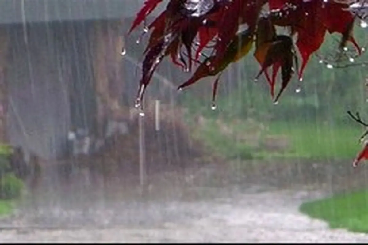 هشدار زرد هواشناسی؛ باران، تگرگ و سیلاب در ۸ استان تا یکشنبه