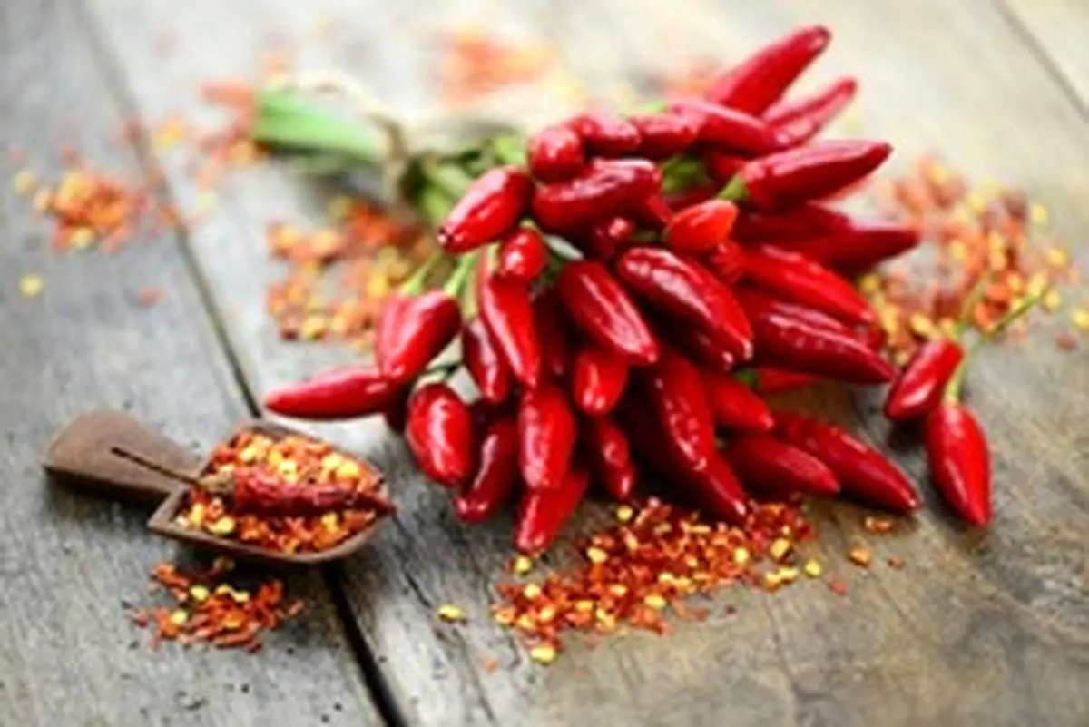 خاصیت فلفل قرمز که باورتان نمیشود