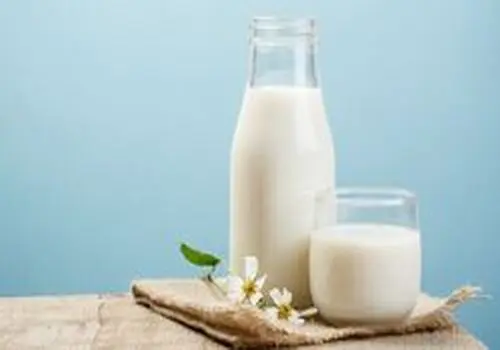این گیاه می تواند جایگزین شیر و لبنیات باشد!