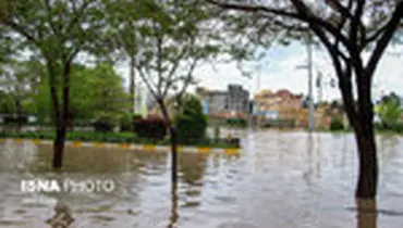 کرمان در آب باران غرق شد
