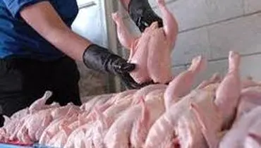 نرخ هر کیلو مرغ ۱۰ هزار و ۹۰۰ تومان است