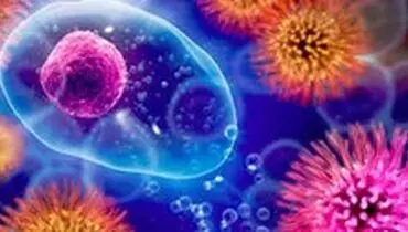 آنچه باید از هانتاویروس بدانید