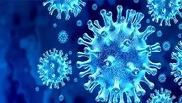 گمانه‌زنی جدید درباره منشأ انتقال ویروس کرونا به بدن انسان