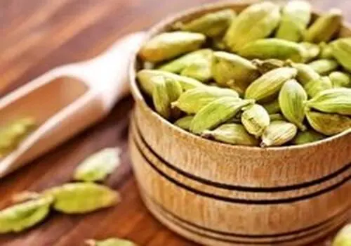 ادویه‌ای شگفت‌انگیز برای کنترل قند خون و خوشبو کردن دهان


