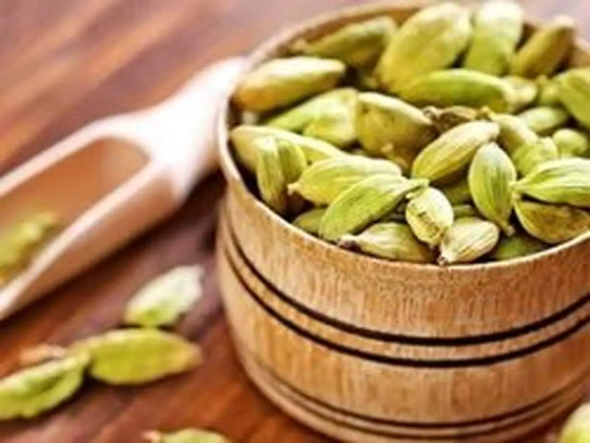 هل چه خاصیتی دارد؟