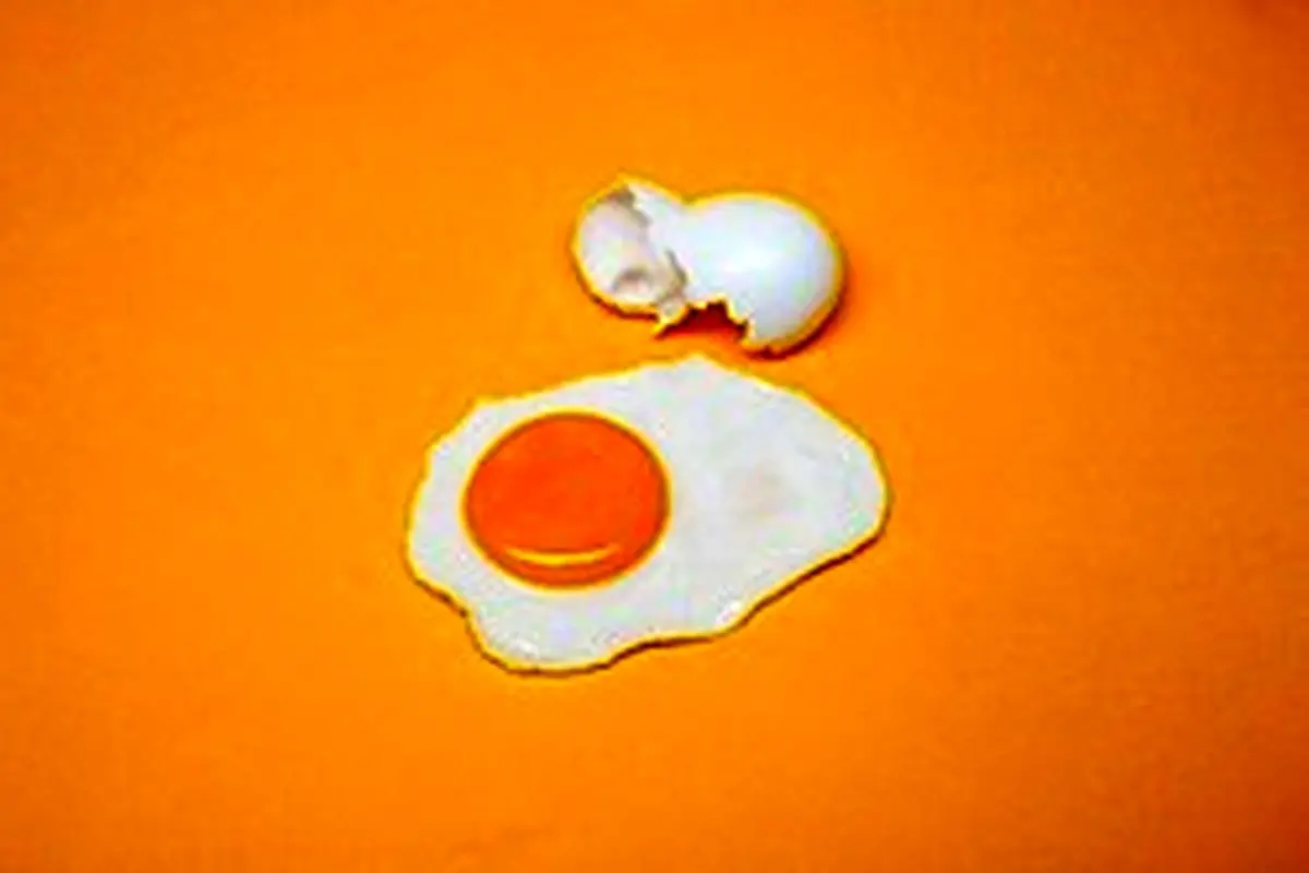 حساسیت به تخم مرغ چیست؟ چه تفاوتی با عدم تحمل تخم مرغ دارد؟
