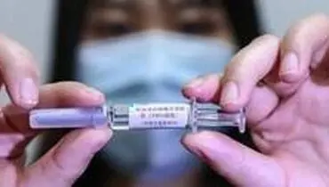 واکسن کرونا بر روی حیوانات جواب مثبت داد