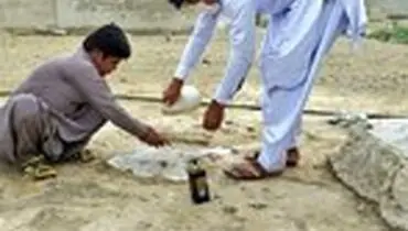 زیباترین تصاویر کرونایی از سیستان