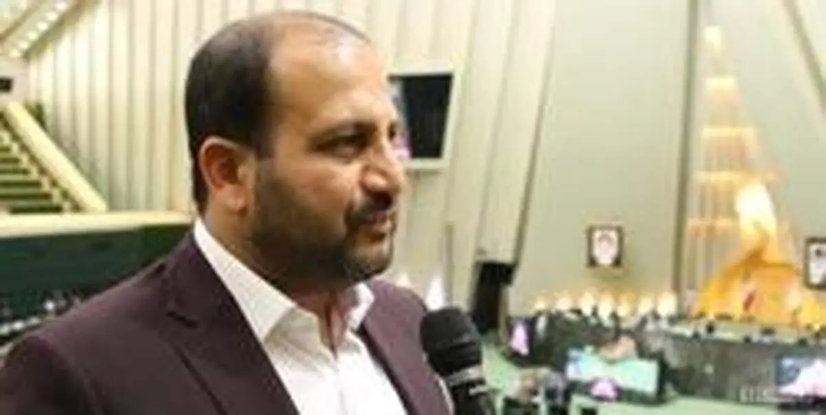 همایون سامه یح نجف‌آبادی:اولویت در مجلس معیشت مردم است