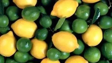 صادرات لیمو شیرین و ترش فعلا ممنوع شد