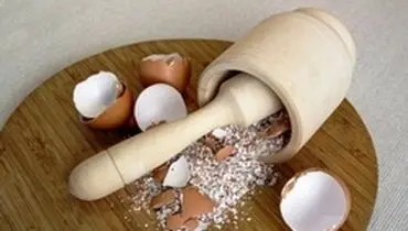 ۸ دلیلی که نباید پوست‌ تخم‌مرغ را دور بیندازیم