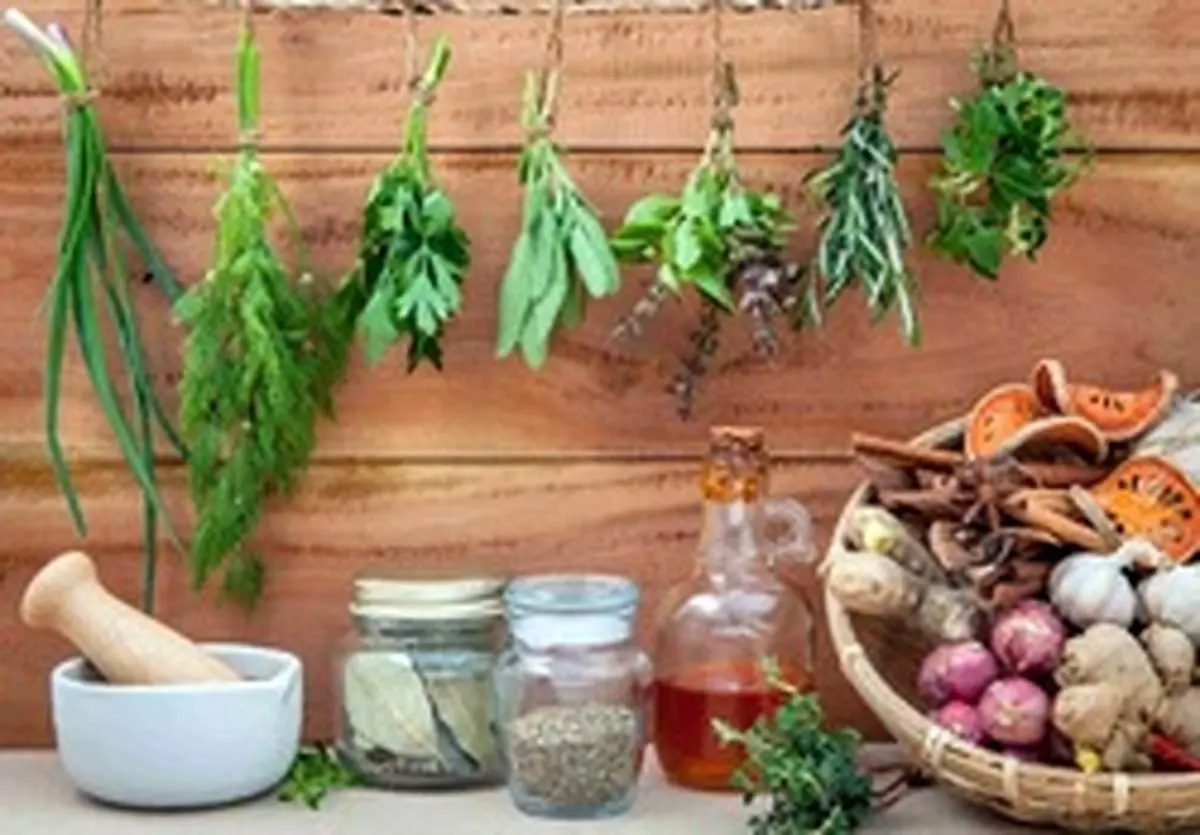 گیاهانی که باید مهمان همیشگی سفرههایمان در روزهای بهار باشند