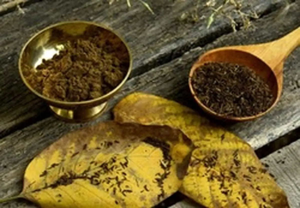 گیاهی که قدرت بالایی در مبارزه با نفخ دارد