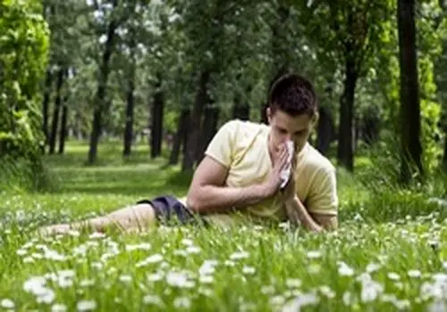 راز کاهش آلرژی غذایی نوزادان در خوردن این خوراکی محبوب