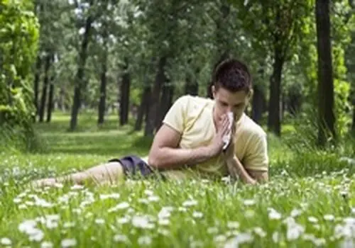 راز کاهش آلرژی غذایی نوزادان در خوردن این خوراکی محبوب