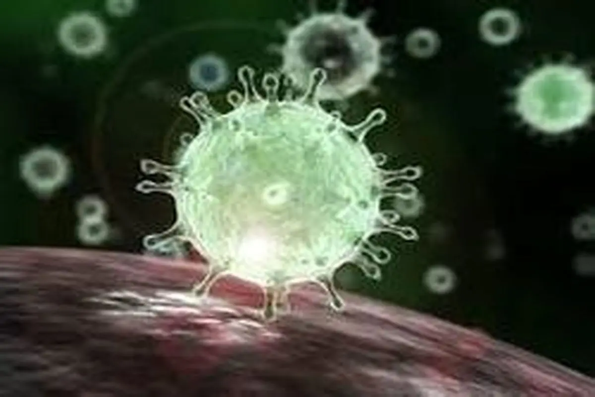 محققان هلندی: کروناویروس سلول های روده را آلوده می کند