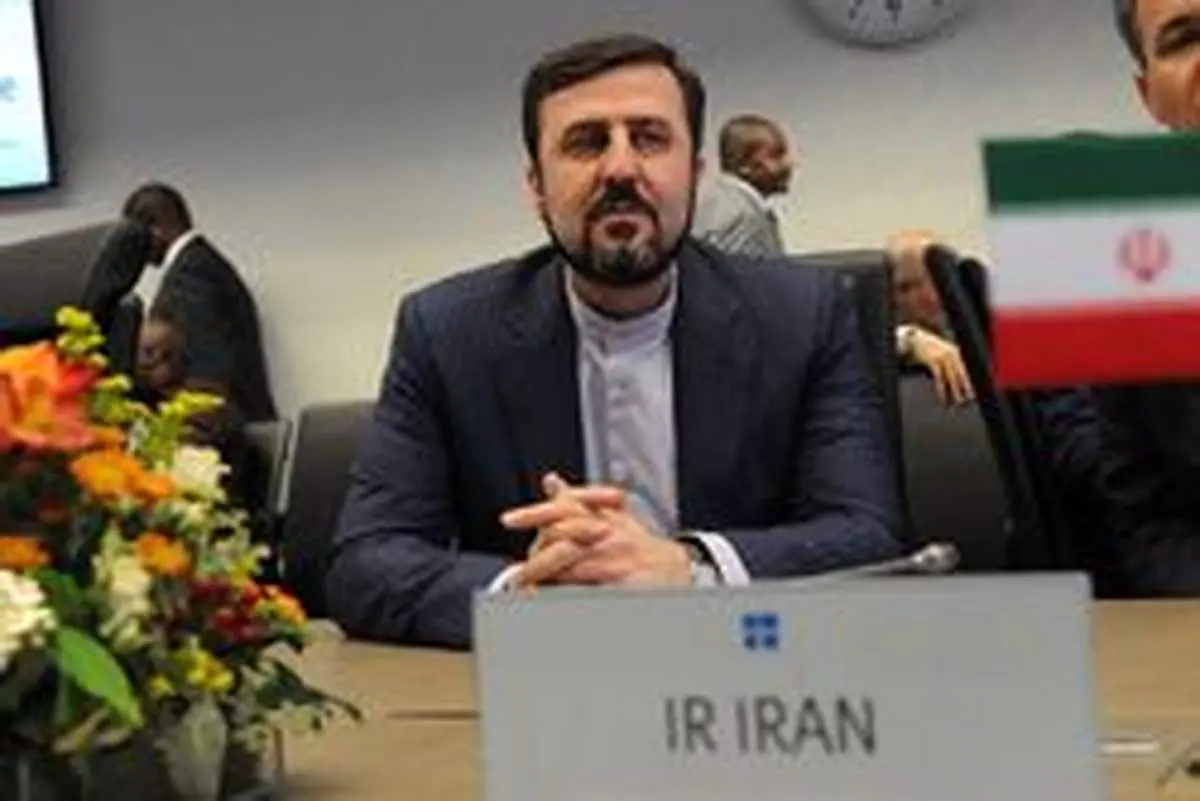 غریب آبادی:ایران صدرنشین کشورهای پذیرنده بازرسیهای آژانس در سال ۲۰۱۹