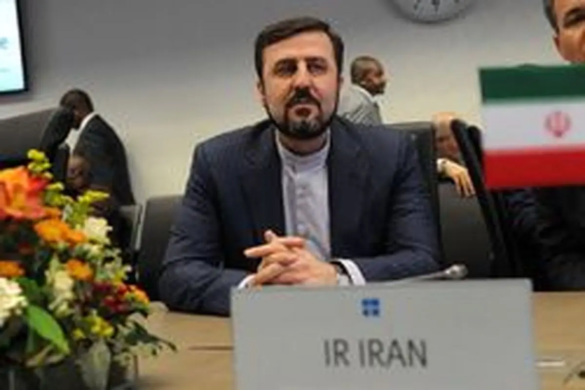غریب آبادی:ایران صدرنشین کشورهای پذیرنده بازرسی‌های آژانس در سال ۲۰۱۹