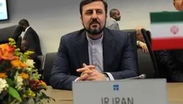غریب آبادی:ایران صدرنشین کشورهای پذیرنده بازرسی‌های آژانس در سال ۲۰۱۹