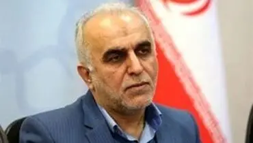 وزیر اقتصاد:واگذاری‌‎ها برای تامین کسری بودجه دولت نیست،دنبال کوچک‏‌سازی دولت هستیم