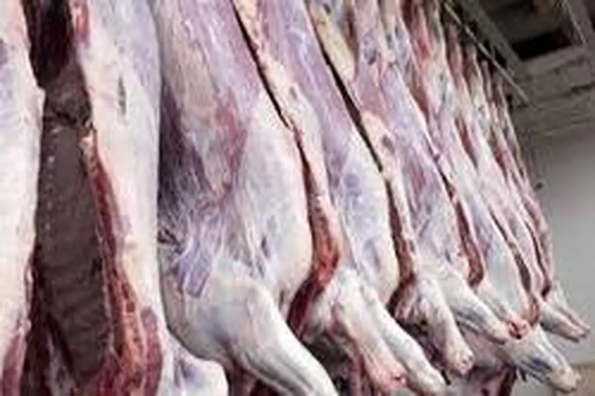 تعیین قیمت قطعی گوشت تا چند روز دیگر