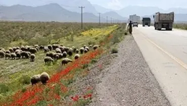 کاهش ۳.۲ درصدی تردد در جاده‌های کشور