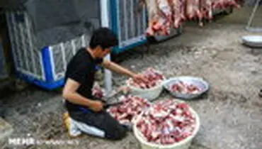 طلاب اروپا و امریکا در ایران همدل