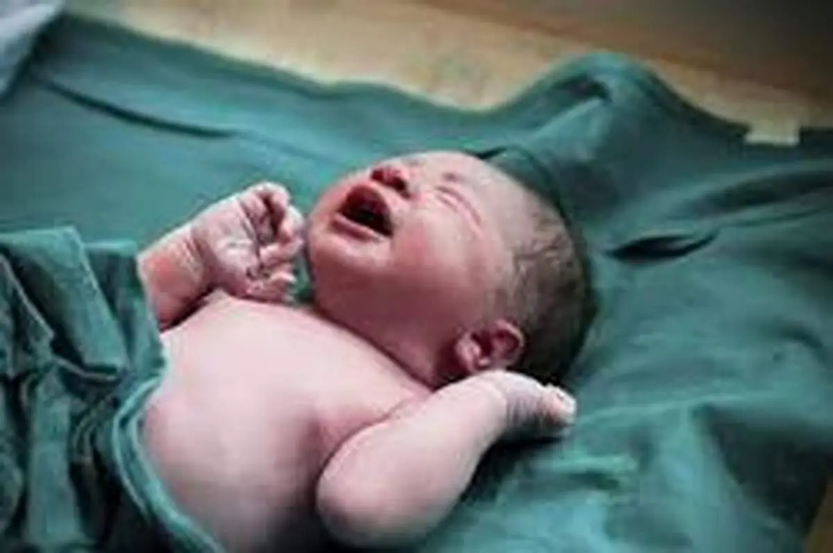 جنین فریز شده پس از ۱۲ سال در اصفهان زنده شد