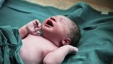 جنین فریز شده پس از ۱۲ سال در اصفهان زنده شد
