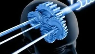 ۱۰ غذا برای تقویت هوش؟!