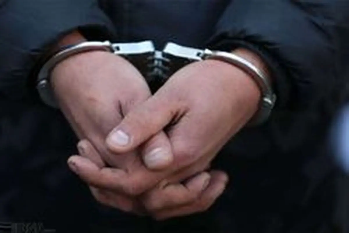 متهم کلاهبردار به کشور بازگردانده شد